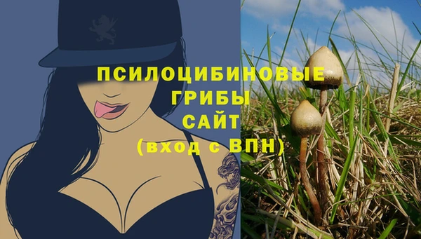 дживик Абинск
