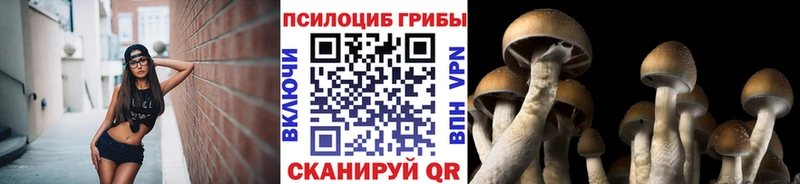 Галлюциногенные грибы GOLDEN TEACHER  Лебедянь 